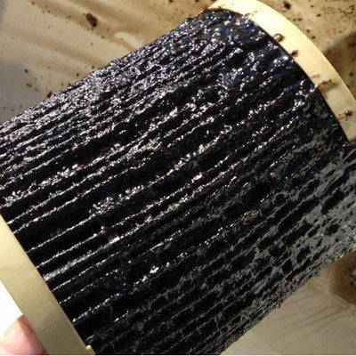 Filtro de combustible contaminado